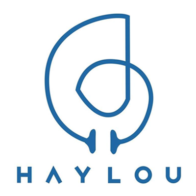 Haylou Official Store For Gadget Fest COD
