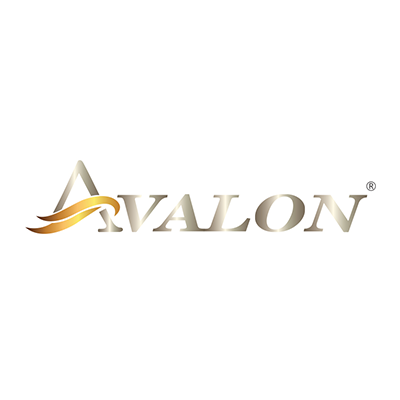 Avalon Global Corporation For Flash Sale COD