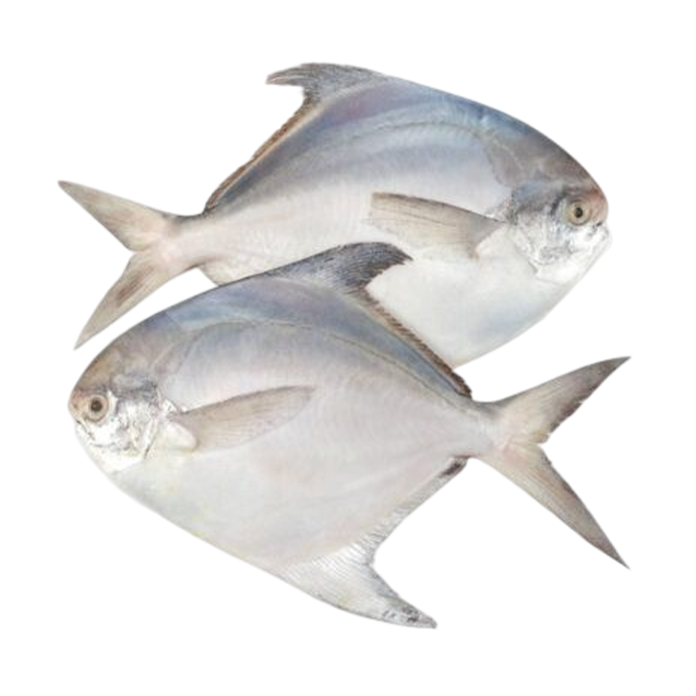 Frozen Rupchanda Fish - 2Kg