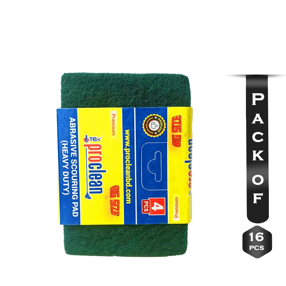 Pack of 16 Pcs Abrasive Scouring Pad - ASP-9845