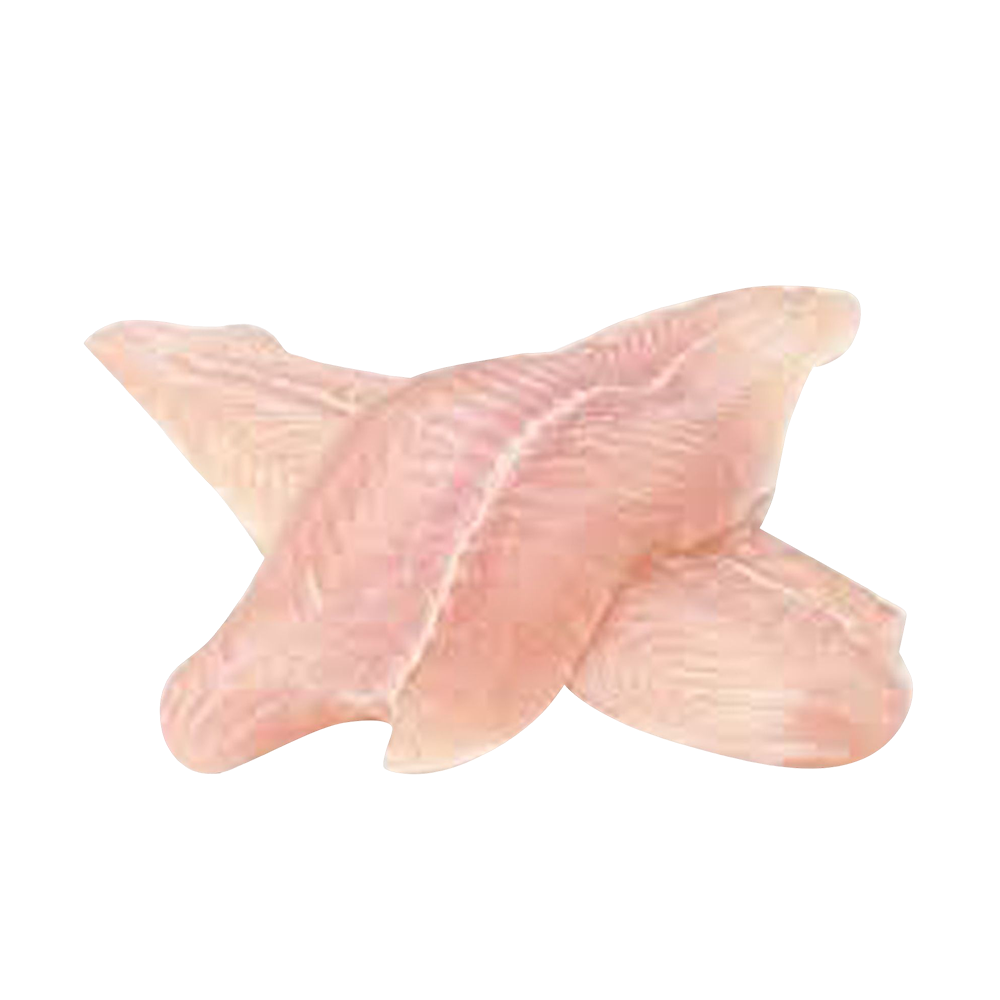 Frozen Dory Basha Fillet Cleaning Cutting Fish - 1 Kg