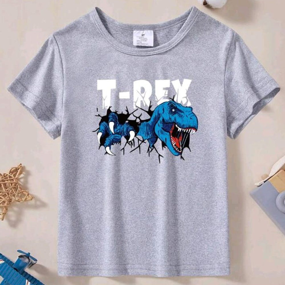 Cotton Printed Half Sleeve T-Shirt For Boys - Ash