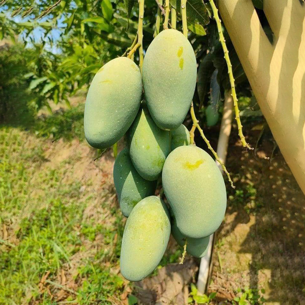 product image3