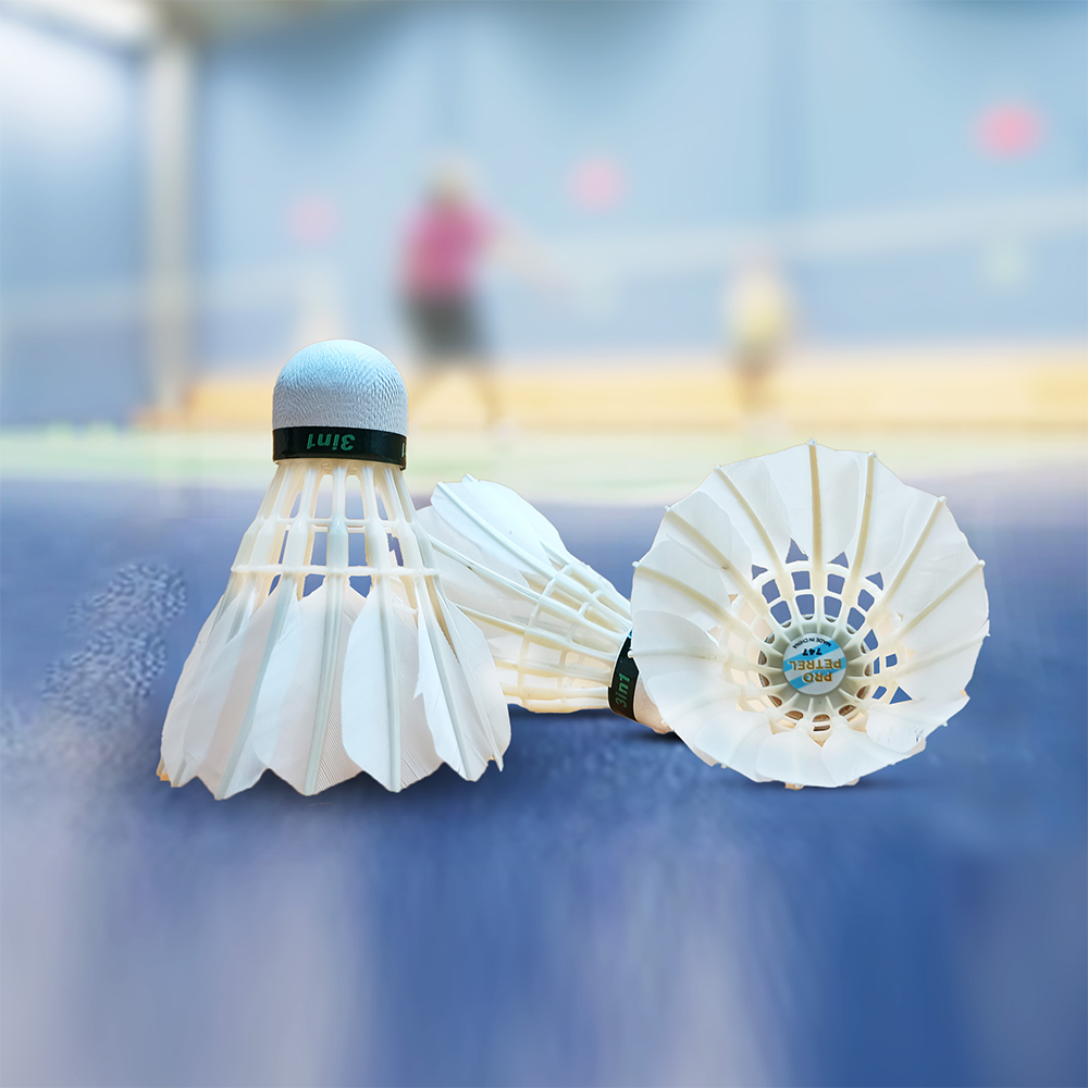 Pro Petrel Feather Shuttle Cocks For Badminton - 3Pcs - White