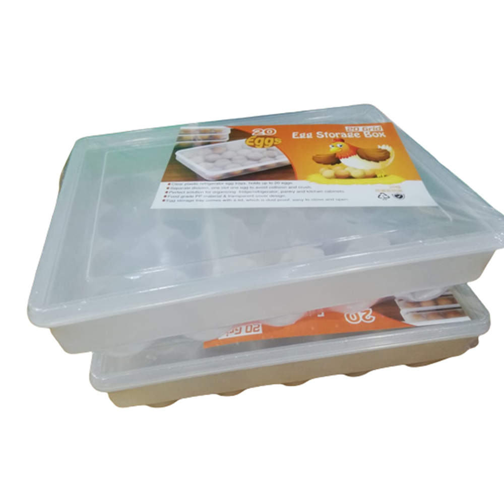 EG-02 Food Grade PP Egg Box - White