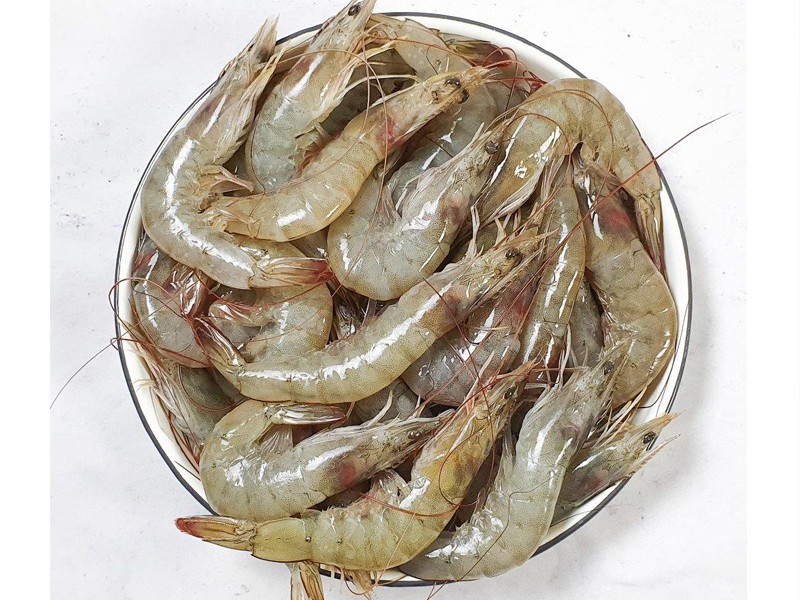 Horina Chingri হরিনা চিংড়ী - Average Size - 1Kg Pack