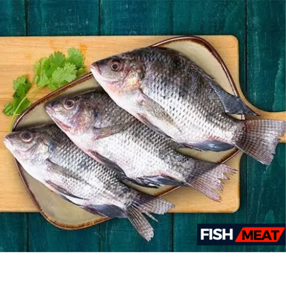 Telapia Fish (2-4 Pcs kg) - 1 Kg