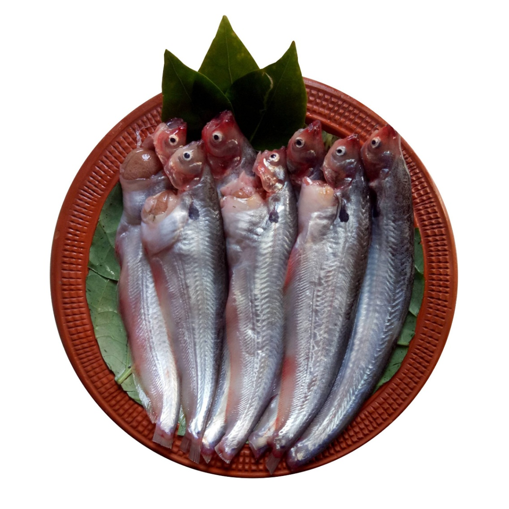 Ready To Cook Pabda Fish - 1 Kg