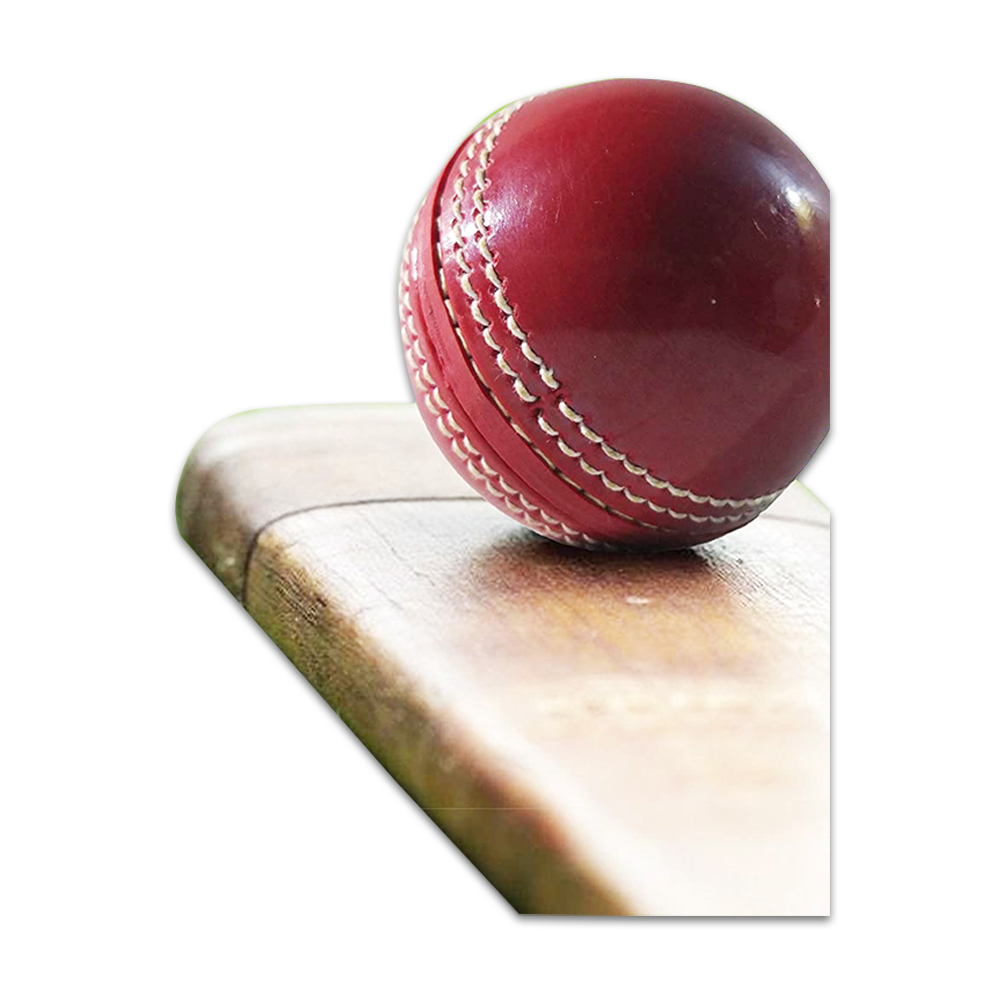 Cricket Hand Stitched Test Ball Practice Cricket Balls - 182328094