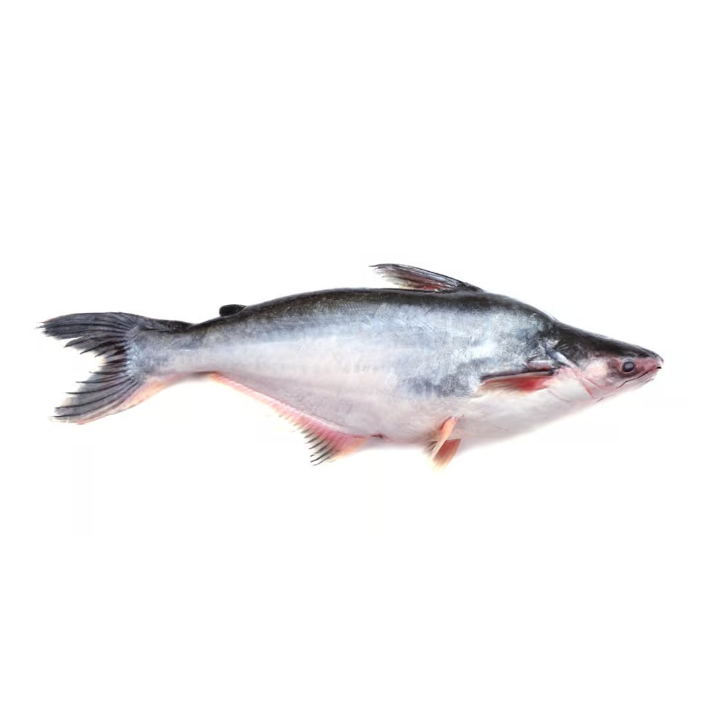 Pangas Fish - 1 Kg