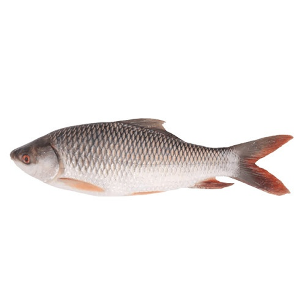 Nodir Rui Fish - 1 Kg