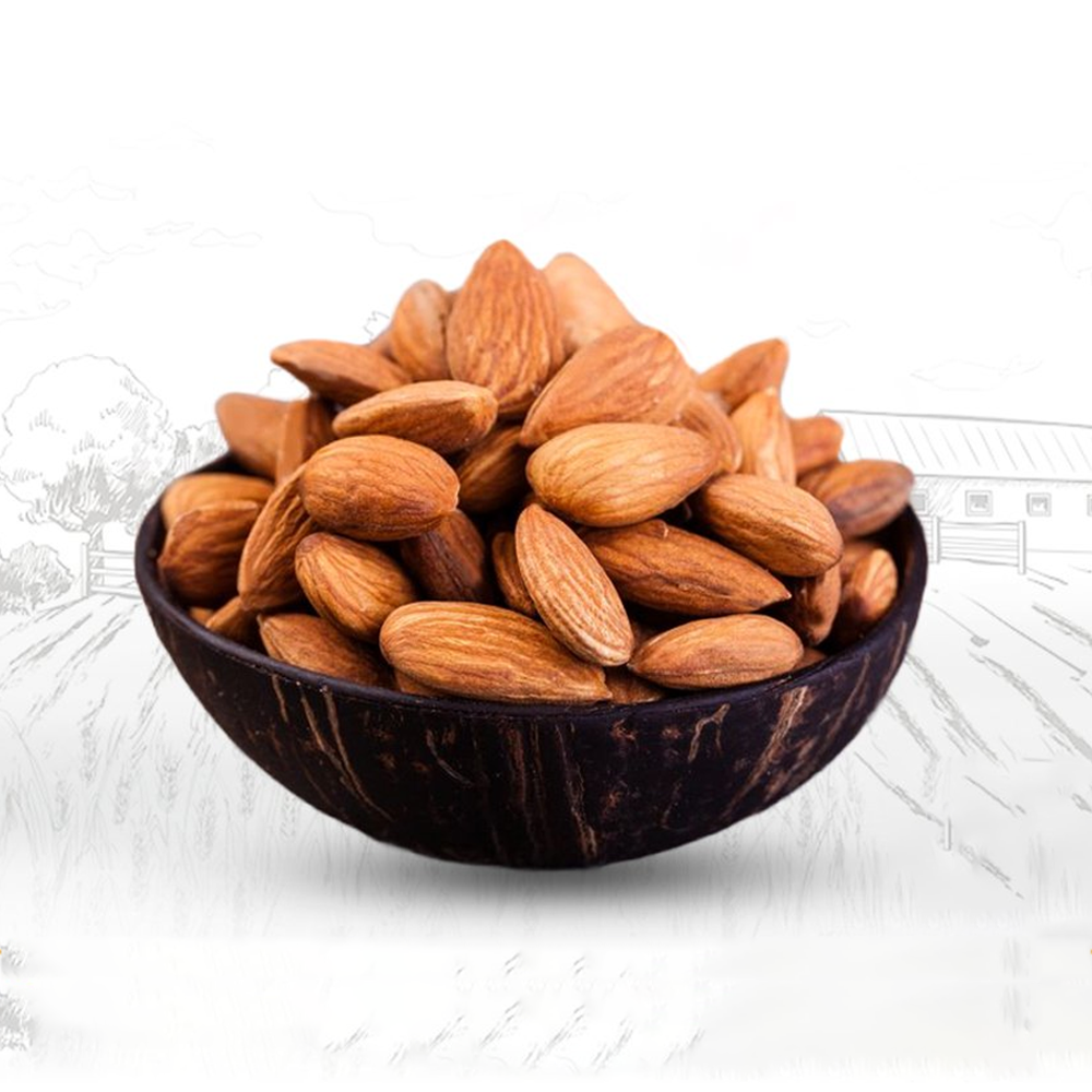 Almond Nuts Katbadam - 500gm