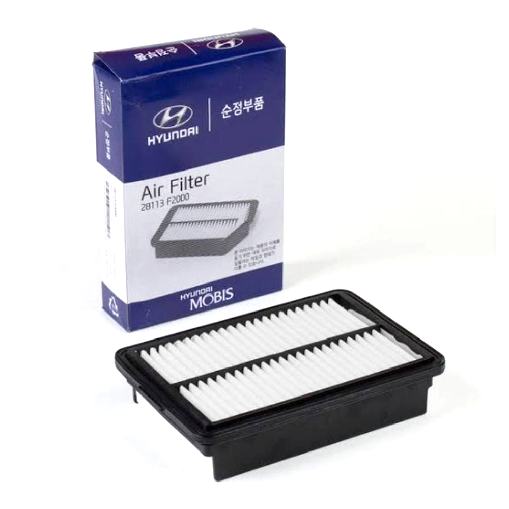 Hyundai 28113-F2000 Air Filter For Hyundai Car - White and Black 