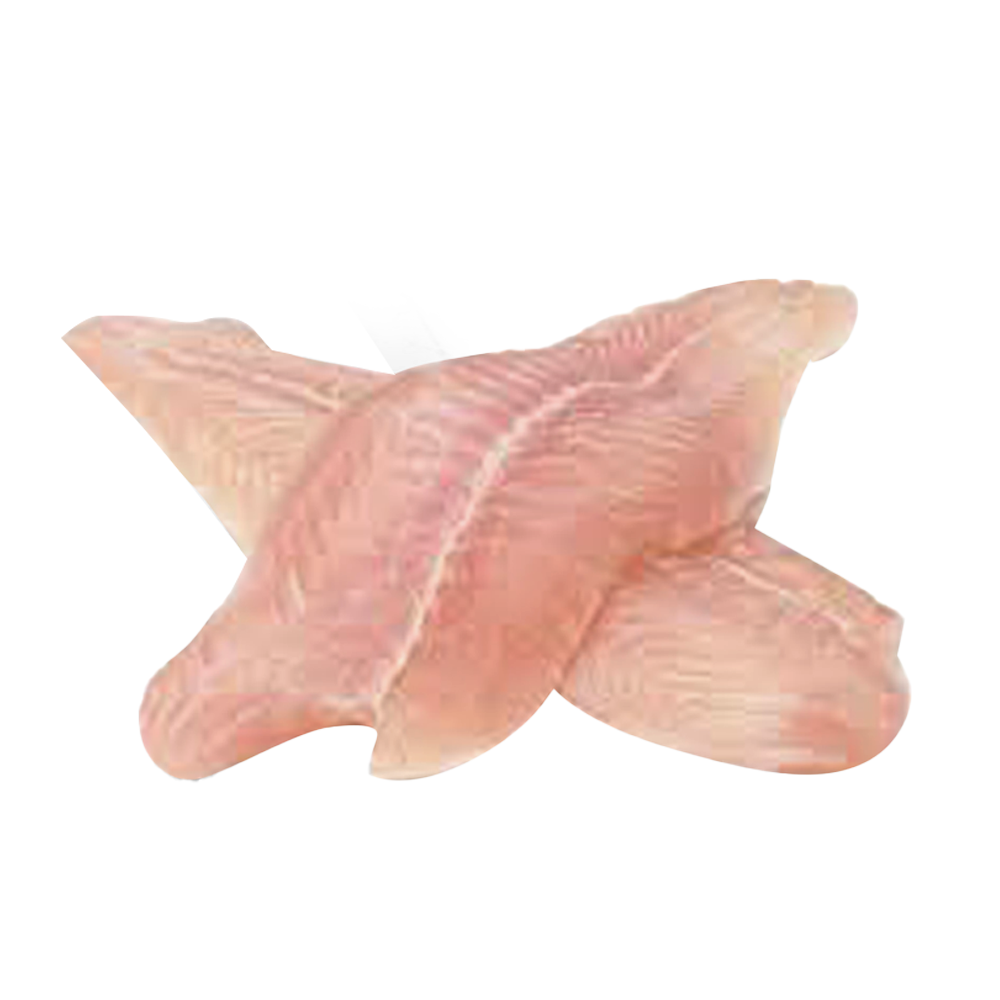 Dory Fillet Cleaning and Cutting Fish - 1 KG