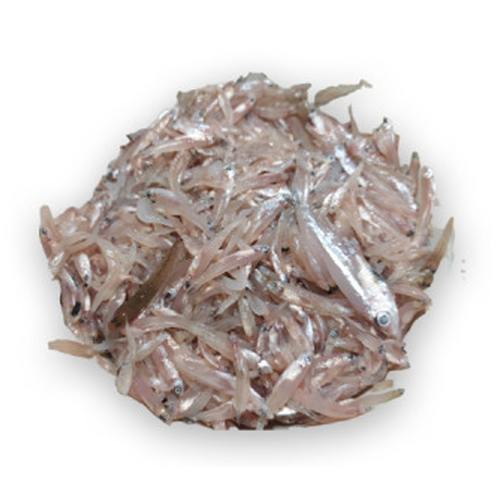 Kachki Fish - 1kg