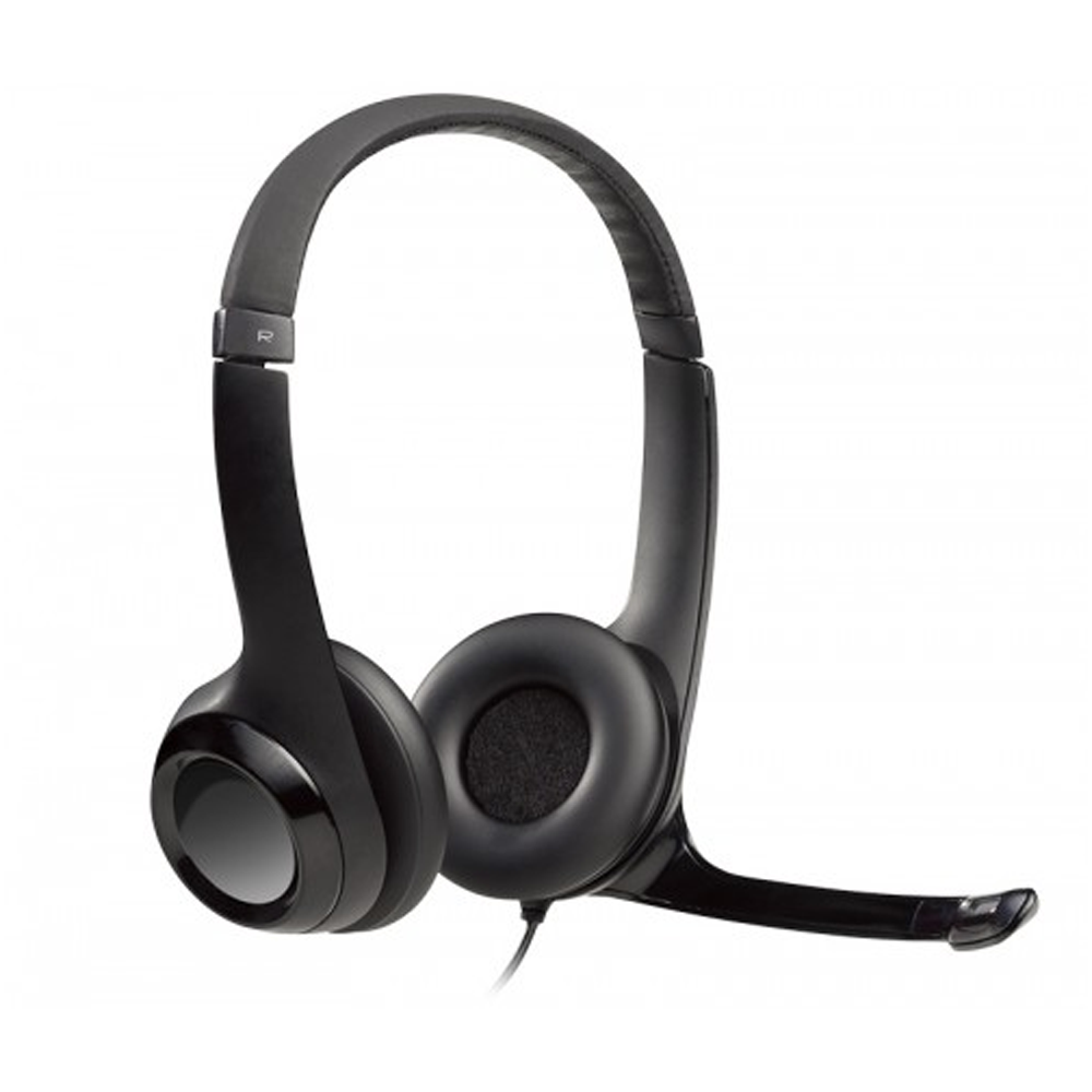 Logitech H390 Stereo USB Headset with Microphone - Black