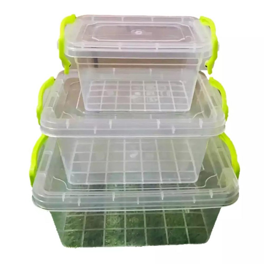 Plastic Fair Food Storage Box Container - 3 Pcs