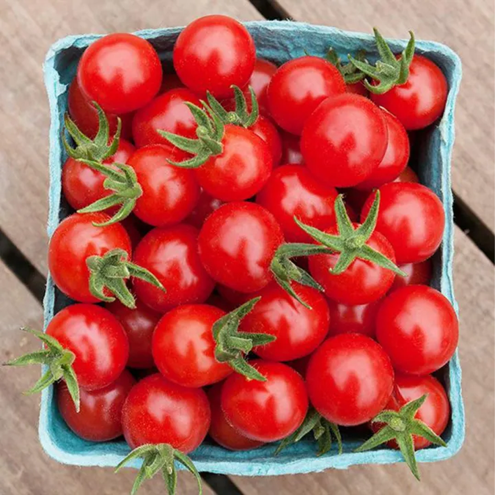 Hybrid F1 Cherry Tomato Seeds - Red - 20Pcs