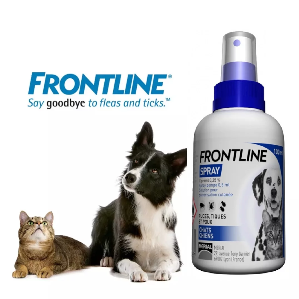 Frontline spray hot sale 100ml