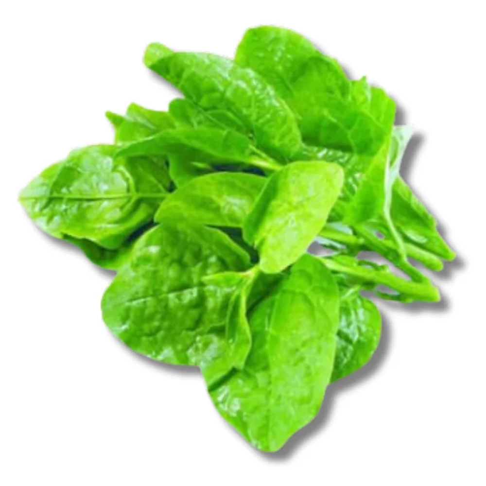 Pui Shak Malabar Spinach (Bundle)