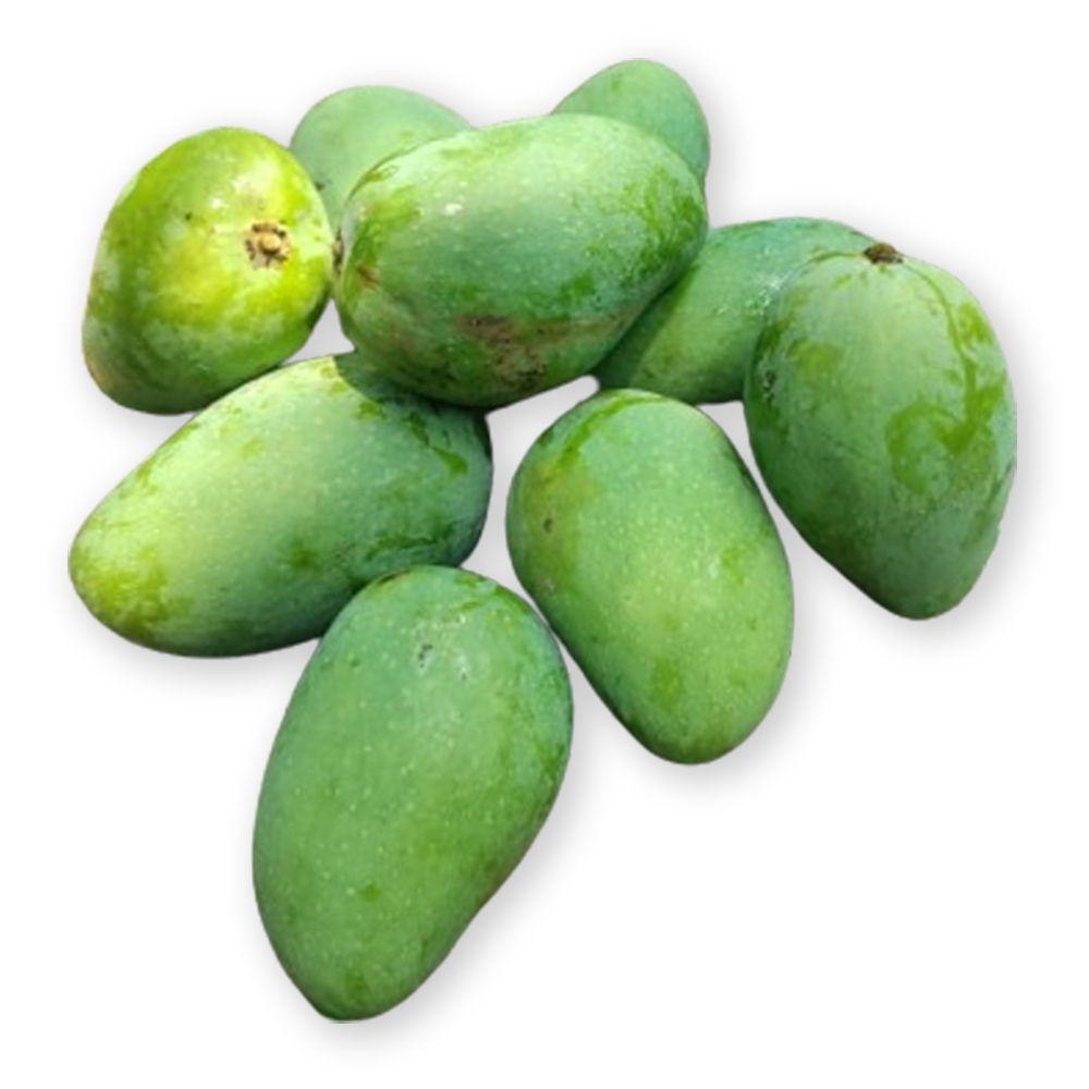 Green Kacha Rajapuri Mango For Pickle - 10 KG