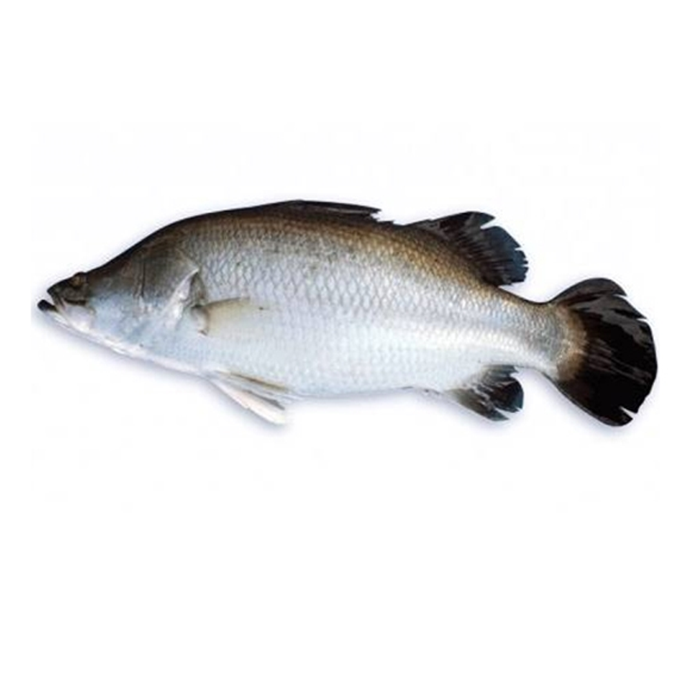 Ready to Cook Koral Fish - 1 Kg