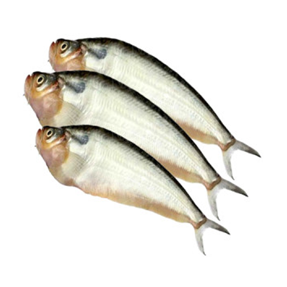 Pabda Fish - 1 kg