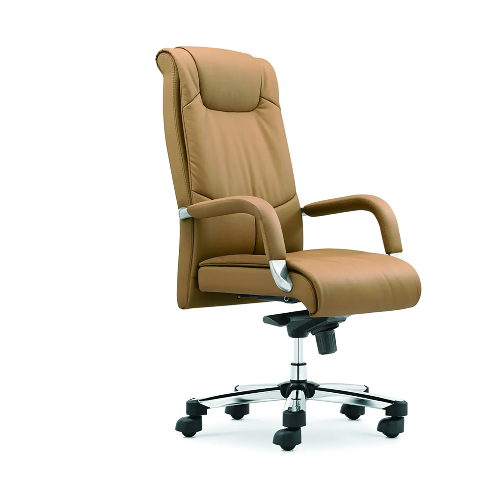 Leather Fashionable Executive and Task Chair - Brown - F69 