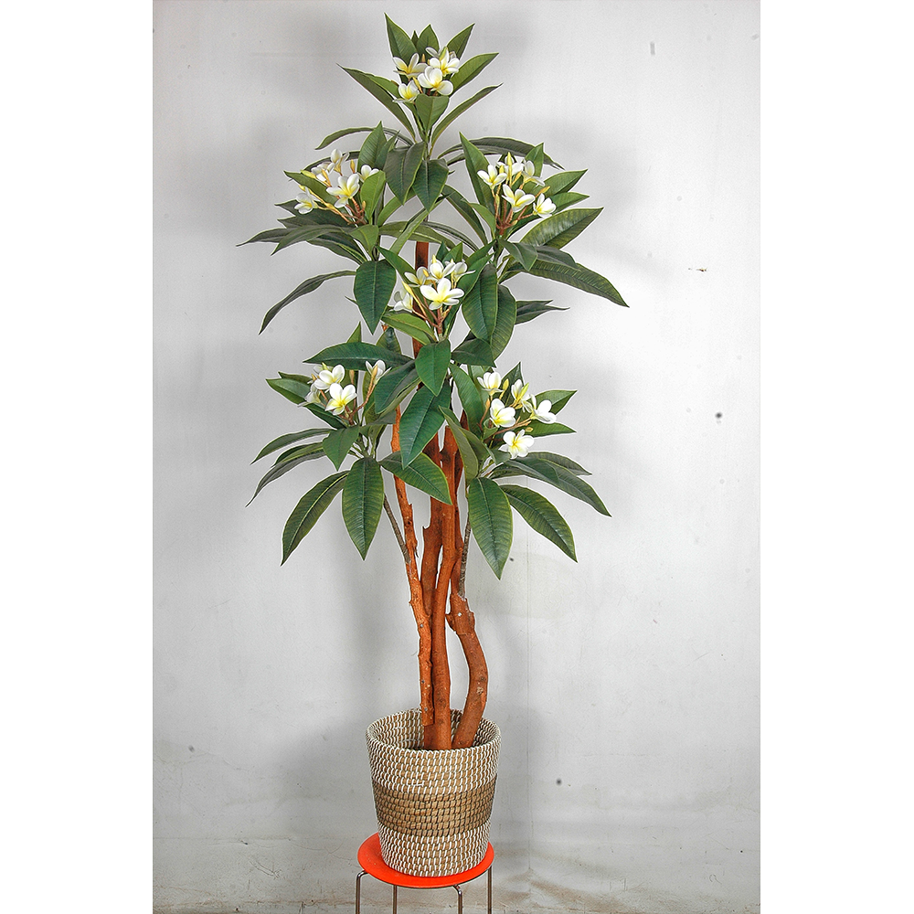 Artificial Kathgolap Tree - White - PKT-0102