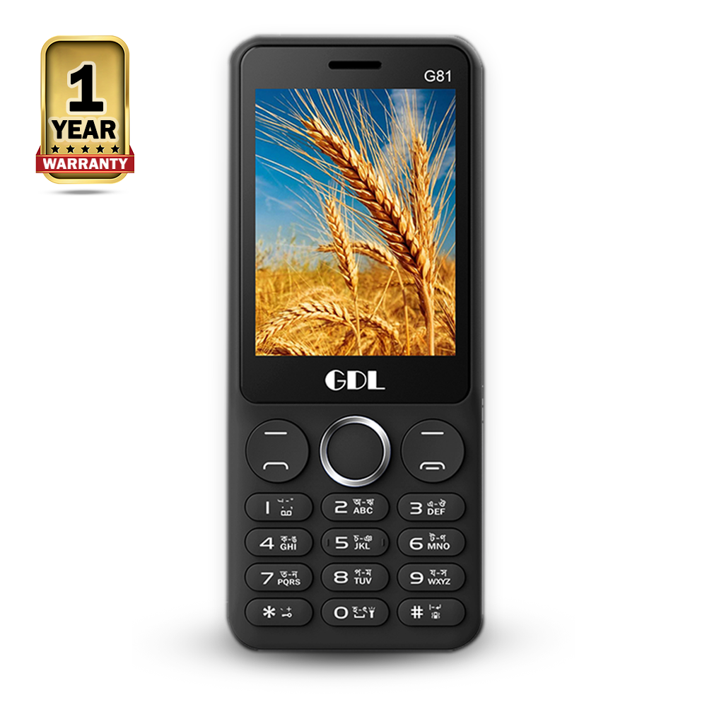 GDL G81 Dual Sim Feature Phone