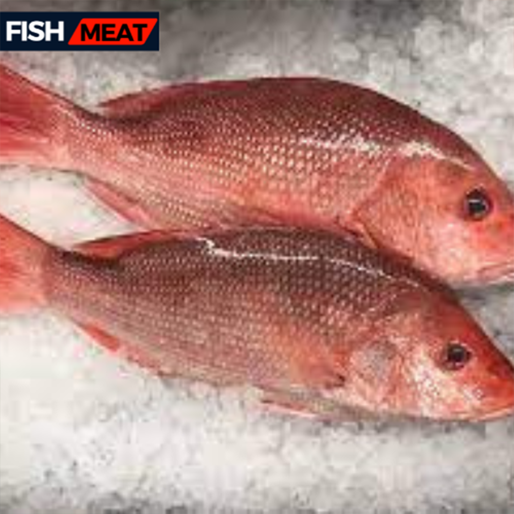 Red Snapper - For Bar-B-Que (400gm- 500 gm) - 1 kg