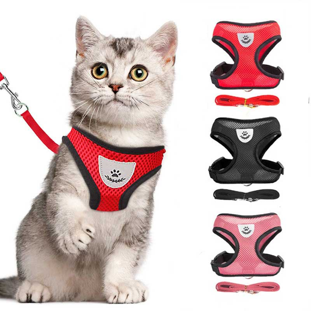 Cat Body Harness S Size