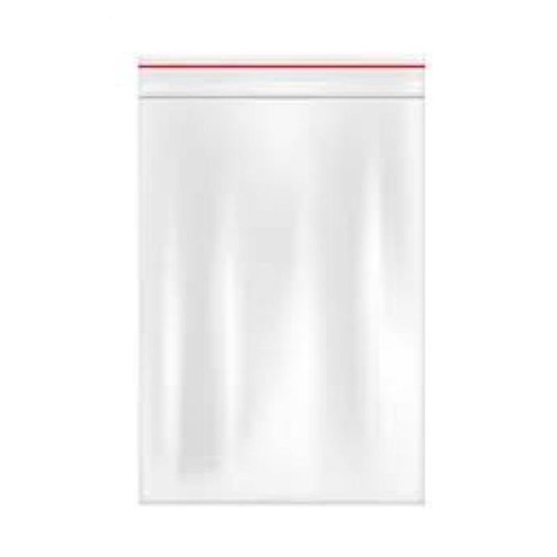 Zip Lock Plastic Packet 5/7 inch - 100 pcs pack