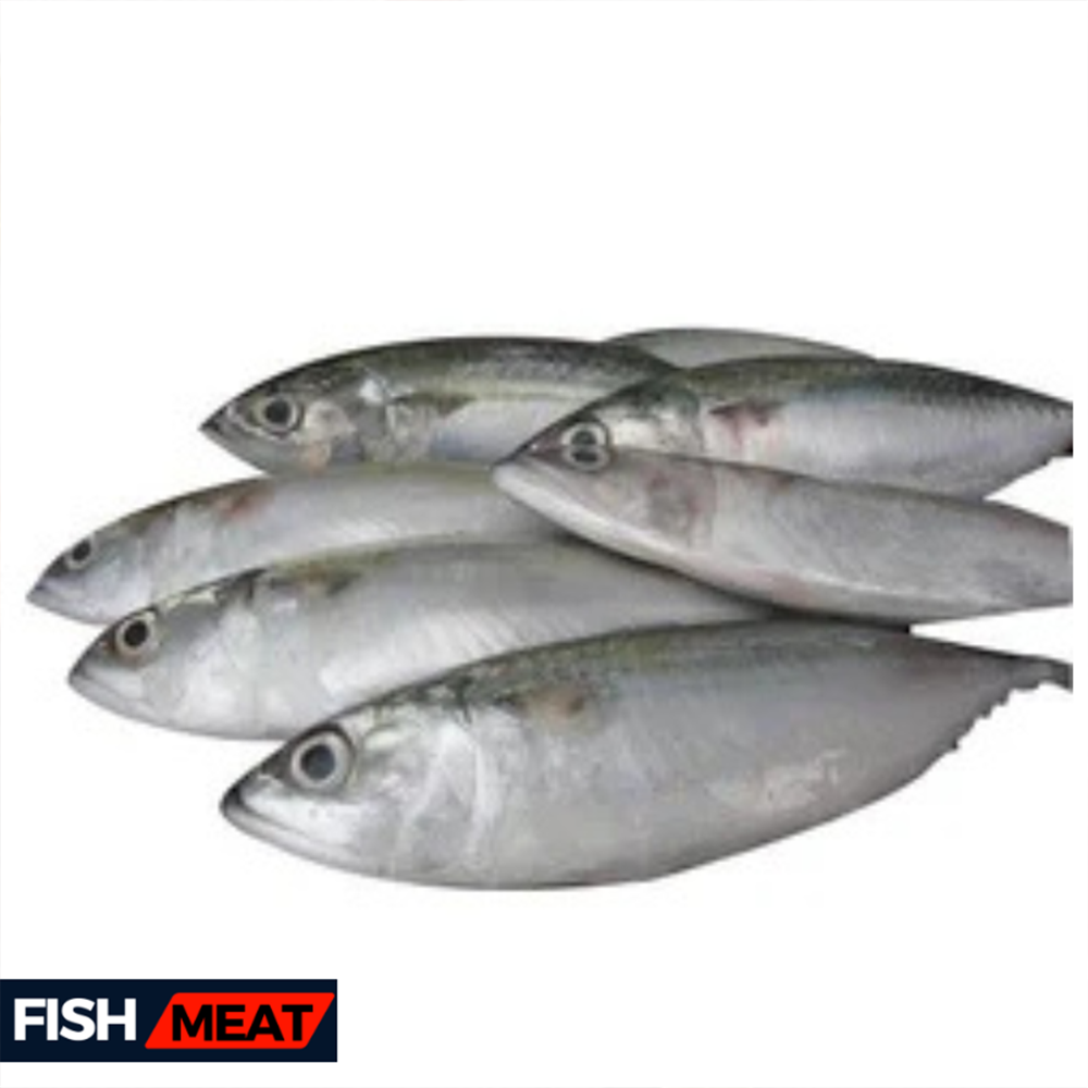 Surma - Narkeli Fish - 7-10 pcs Kg - 1 Kg