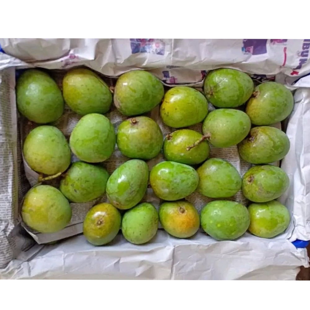 product image1