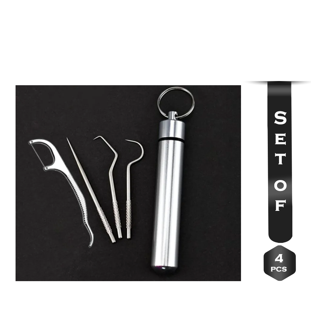 Set of 4 Pcs Portable Stainless Steel Toothpicks with Key Rings