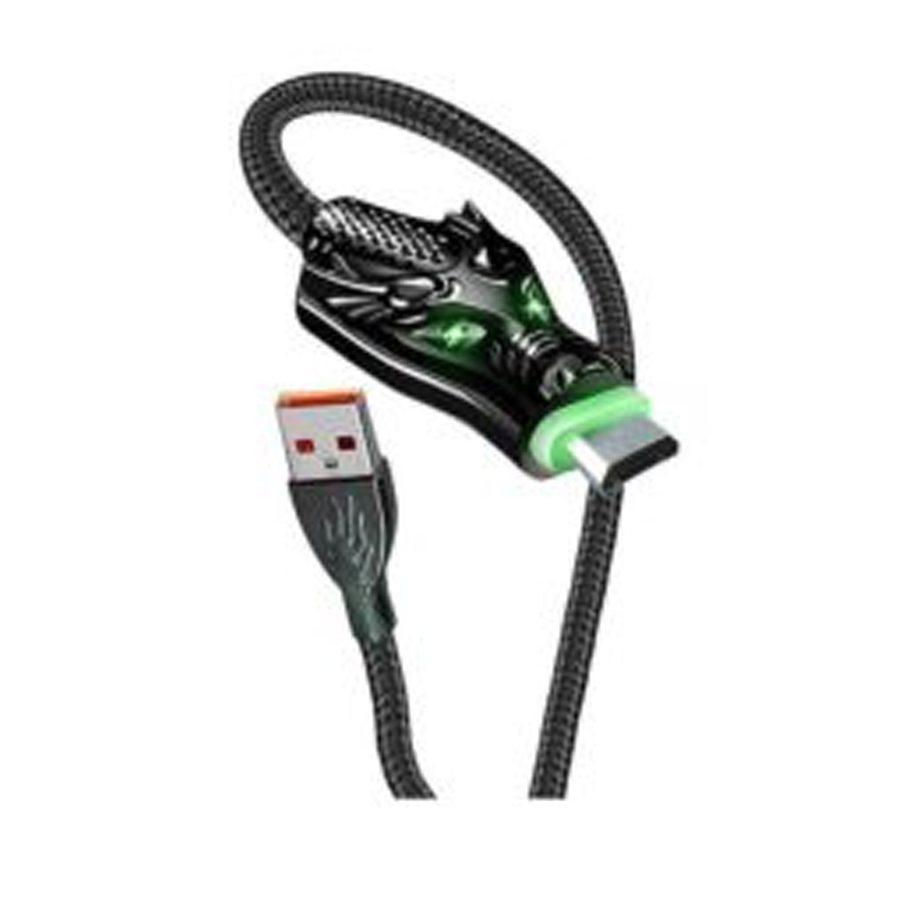 Aspor A197 Fast Charging Type-C Data Cable - 1M - Black