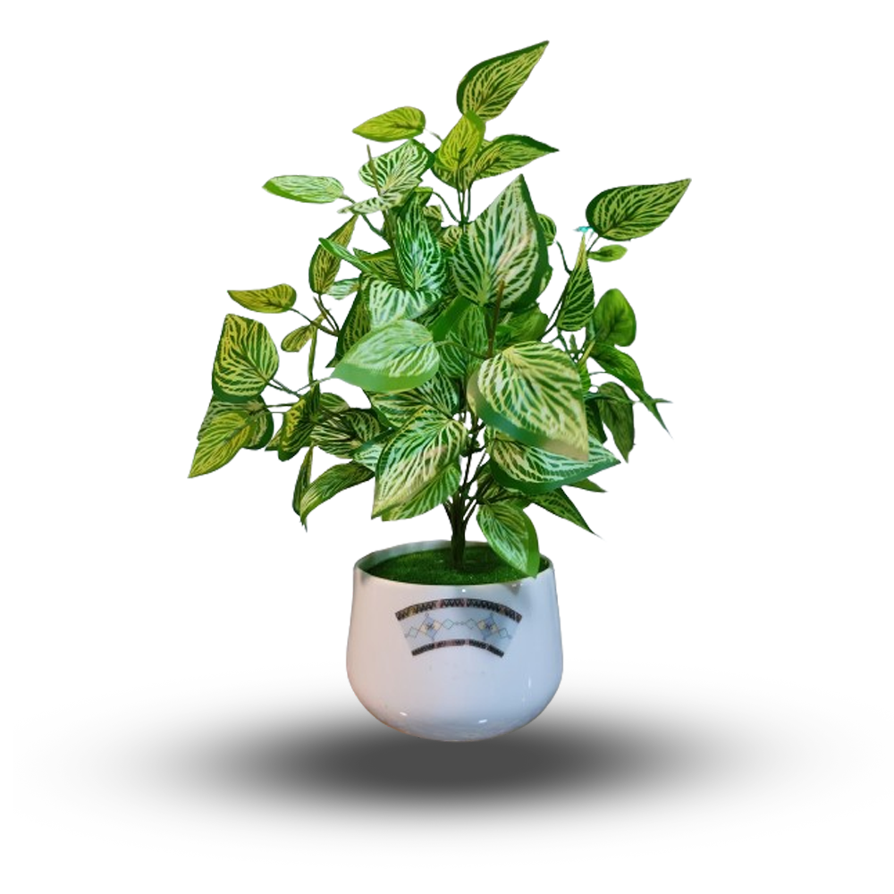 Artificial Leaf Plant with Ceramic Tub - LPCT-0101 - 14  Inch