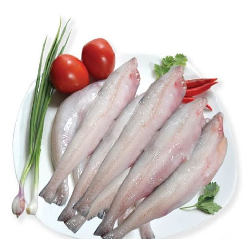 Ready to Cook Loitta Fish - 500gm