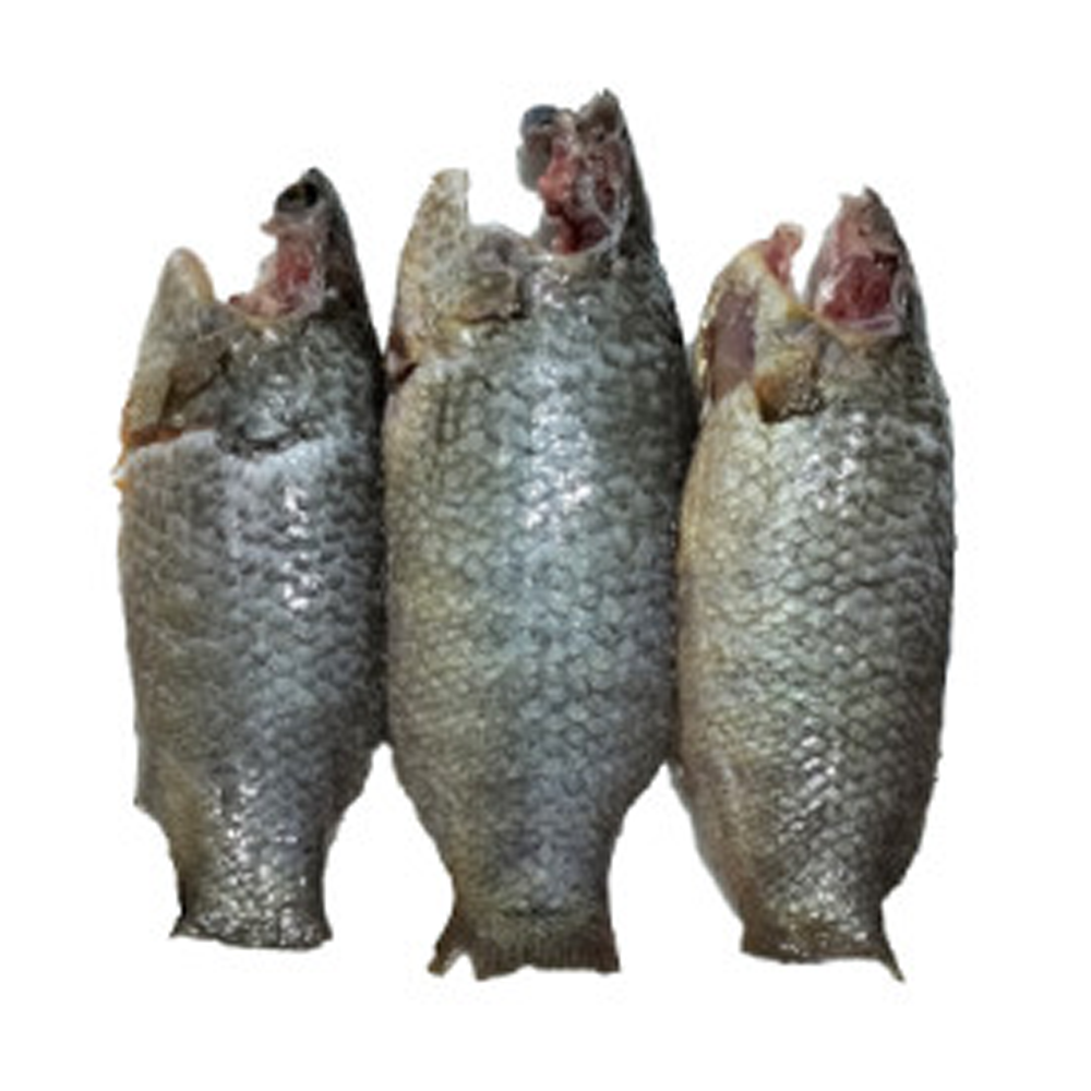 Koi Fish- Ready to cook - 1kg