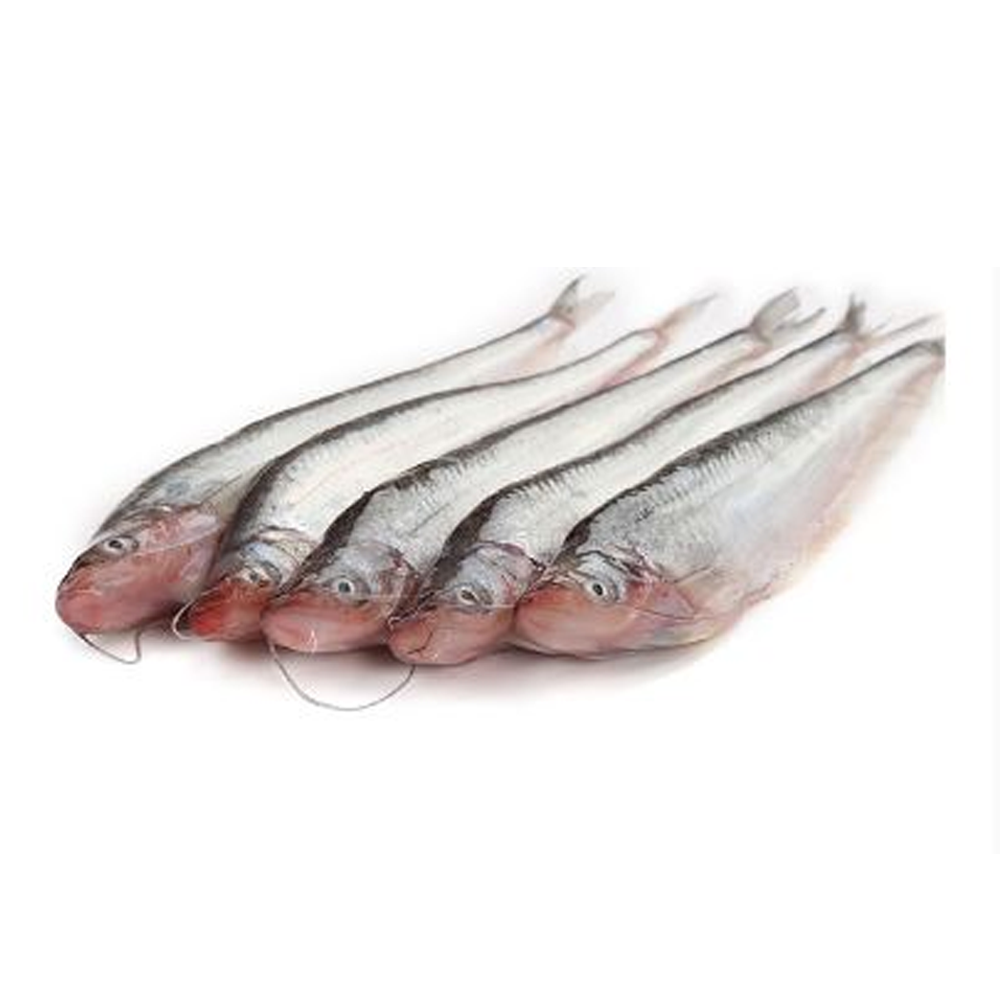 Pabda Fish Medium - 1 Kg