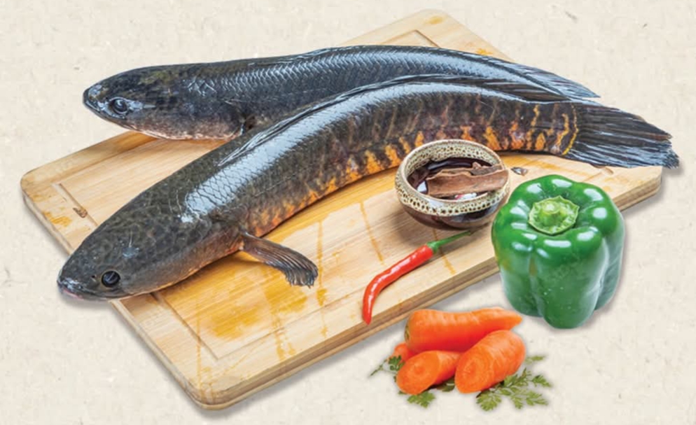  Shol Fish শোল - 2 pcs - 1kg 20gm