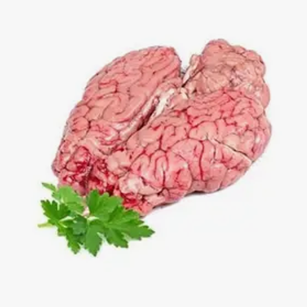 Beef Brain - 1 Pcs