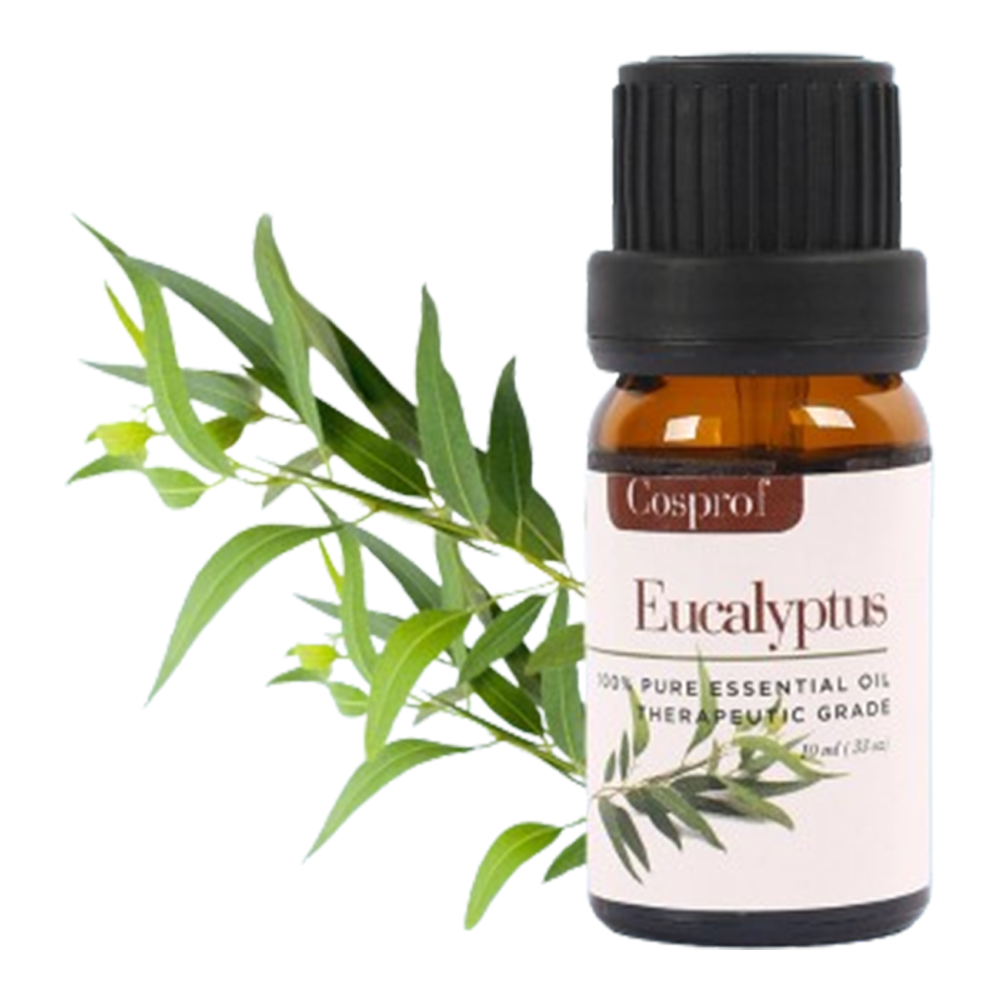 Cosprof Eucalyptus Essential Oil - 10ml