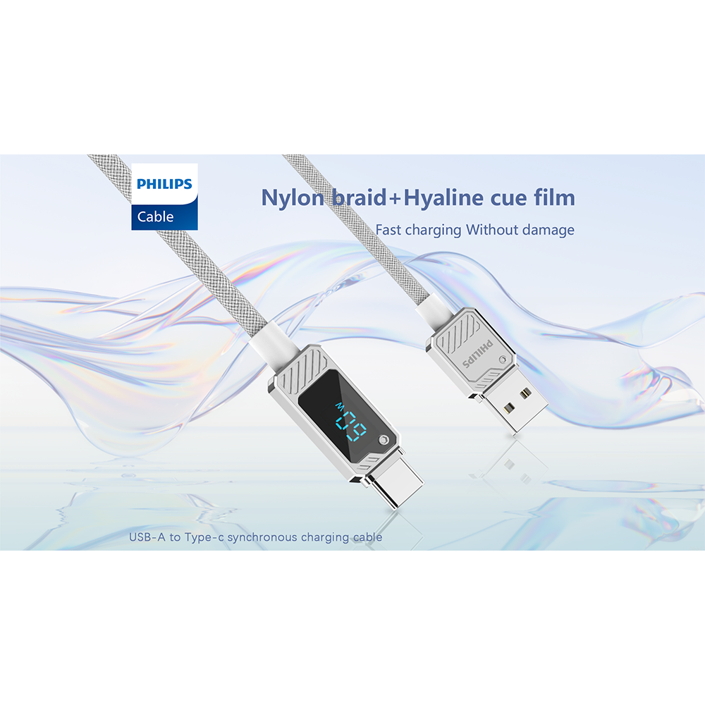 PHILIPS DLC5011CW Type-C to Type-C Cable - 1M - Multicolor