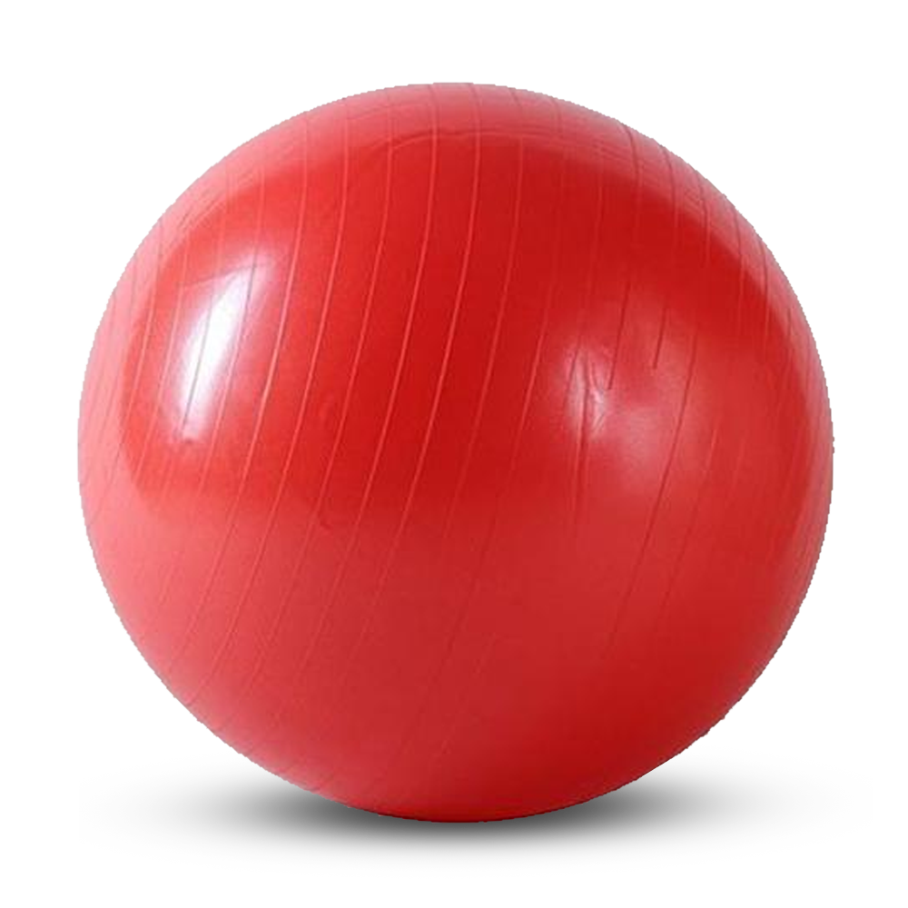 Gym Fitness Ball Multi Color