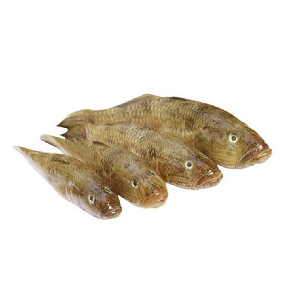 Sea Baila Fish - 1 Kg