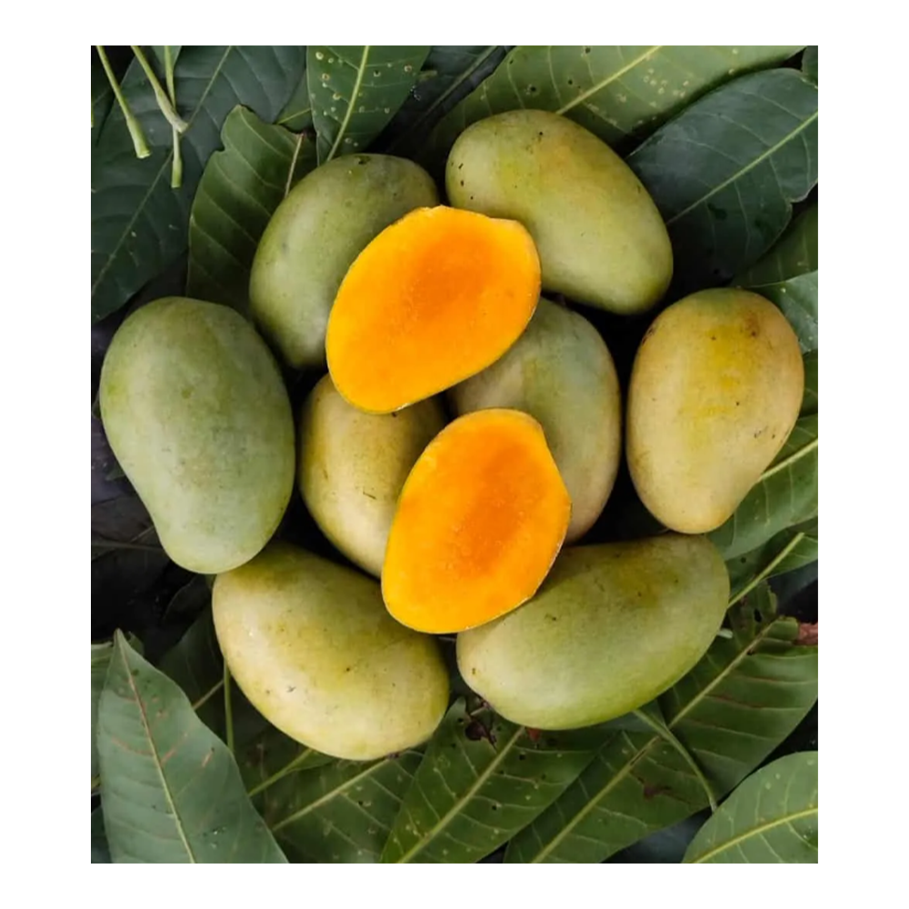 product image1