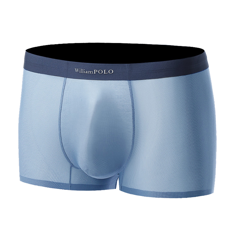 William Polo Ice Silk Underwear Boxer For Men - Light Blue