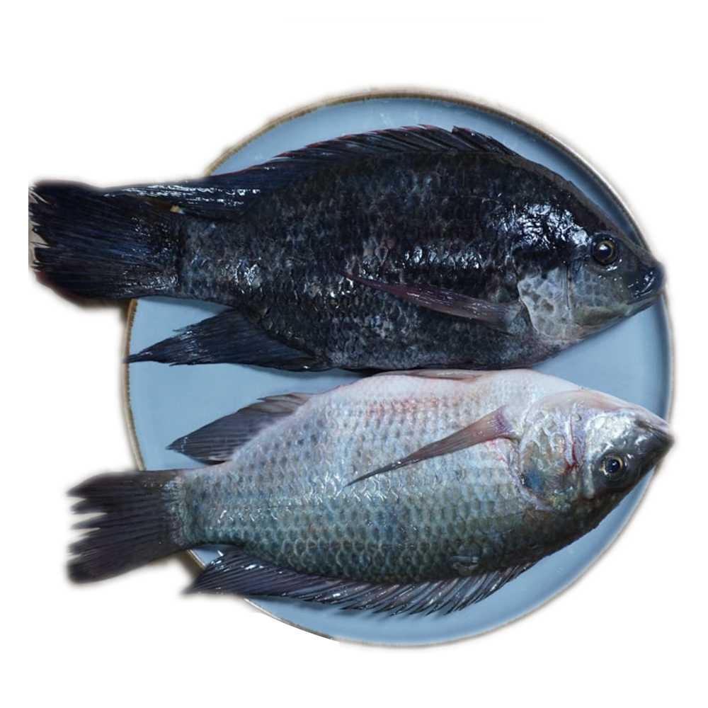 Deshi Tilapia Fish - 1 Kg